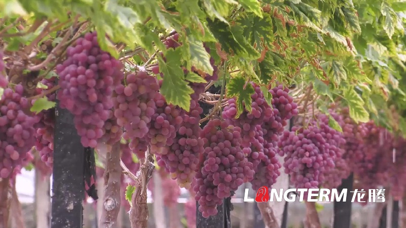 在綿陽宣傳片拍攝出來如何調(diào)整 在綿陽宣傳片拍攝出來如何調(diào)整